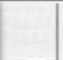 網(wǎng)站無滾拉條設(shè)計(jì)